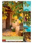 CALVENDO Wandkalender Zitronen & Sonne (Wandkalender 2027 DIN A4 hoch), CALVENDO