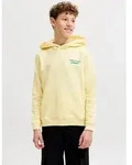 Jack & Jones Junior Kapuzensweatshirt JORNORREBRO TYPO BACK SWEAT HOOD SN JNR