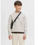 Jack & Jones Junior Sweatshirt JJESOHO SWEAT CREW NECK SN JNR