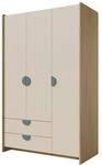 MIRJAN24 Kleiderschrank Lexi 3D2S 01 (mit drei Dreht&uuml;ren und zwei Schubladen)