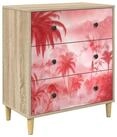 vidaXL Kommode 66 x 36,5 x 75 cm Kommode Schubladenschrank Sideboard AACHEN...