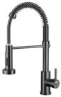 LuxusKollektion K&uuml;chenarmatur K&uuml;chenarmatur Pulldown Brause 2 Spr&uuml;hfunktionen