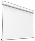 Celexon Expert Motorleinwand (schwarze R&uuml;ckseite)