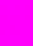 Heyda Feinpapier HEYDA 203310064 Krepp-Papier-Rollen farbfest 50 x250 cm pink