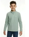 Jack Wolfskin Fleecejacke TAUNUS 100 FZ K winddicht, wasserabweisend, mit...