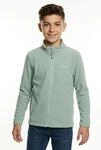 Fleecejacke JACK WOLFSKIN "TAUNUS 100 FZ K", Kinder, Gr. 104, gr&uuml;n (gr&uuml;n...