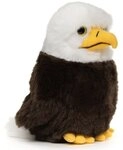 Uni-Toys Kuscheltier Wei&szlig;kopfseeadler Baby - 17 cm (H&ouml;he) - Pl&uuml;sch-Vogel -