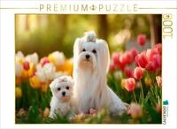 CALVENDO Puzzle CALVENDO Puzzle Maltese - An Enchanting Spring Moment, 1000...