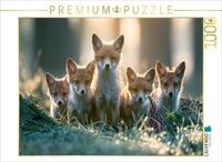 CALVENDO Puzzle CALVENDO Puzzle Approaching Life with Curiosity, 1000 pieces,