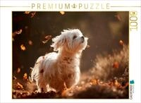 CALVENDO Puzzle CALVENDO Puzzle Maltese - Dance of the Autumn Leaves, 1000...