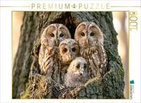 CALVENDO Puzzle CALVENDO Puzzle Wisdom of the Night, 1000 pieces, finished size...