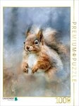CALVENDO Puzzle CALVENDO Puzzle A squirrel, a gentle glance, then a quick leap,...