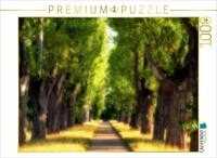 CALVENDO Puzzle CALVENDO Puzzle Poplar-Lined Avenue in Hohenheim Castle Park,...