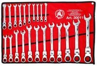 BGS Maulschl&uuml;ssel BGS Do it yourself Ratschenring-Maulschl&uuml;ssel-Satz 30011,