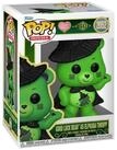 Funko Sammelfigur POP figure Wicked Care Bears Good Luck Bear as Elphaba #2052
