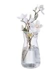 relaxdays Dekovase Blumenvase aus Glas (1 St)
