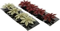 Kaemingk Weihnachtsfigur Kaemingk Weihnachtsblume Poinsettia &Oslash; 8 cm