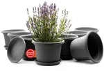 BigDean Blumentopf 8 St&uuml;ck Pflanzk&uuml;bel mit Untersetzer rund &oslash; 25 cm Anthrazit
