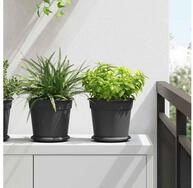 vidaXL Hochbeet vidaXL Blument&ouml;pfe 6 stk. Schwarz Kunststoff