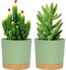 LuxusKollektion Blumentopf Bument&ouml;pfe 2er 12,7cm Entw&auml;sserungsl&ouml;cher...