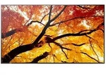 NEC M432 43IN LFD UHD D-LED 550CD/QM SDM CM 24/7 TFT-Monitor (3840 x 2160 px, 4K