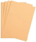 CLAIREFONTAINE Fotopapier Maya Bastelkarton 50x70cm 185g 25 Bogen - Aprikose...