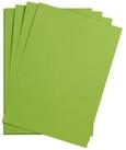 CLAIREFONTAINE Bastelkartonpapier Clairefontaine 25Bl Maya 185g A2 moosgr&uuml;n