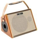 FAME Verst&auml;rker (Akustikgitarrenverst&auml;rker, integrierter Akku, Bluetooth)