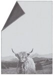 Wohndecke Sylt 'Hochlandrind' 140 x 200 cm Rohwei&szlig;, DAVID FUSSENEGGER beige