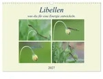 CALVENDO Wandkalender Libellen, was die f&uuml;r eine Energie entwickeln....