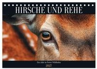 CALVENDO Wandkalender HIRSCHE UND REHE - Ein Jahr in freier Wildbahn...