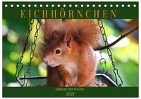 CALVENDO Wandkalender Eichh&ouml;rnchen, Kobolde des Waldes (Tischkalender 2027 DIN...