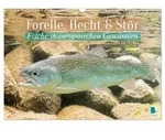 CALVENDO Wandkalender Forelle, Hecht und St&ouml;r: Fische in europ&auml;ischen...