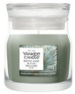 Yankee Candle Duftkerze Signature Duftkerzenglas klein Silver Sage & Pine