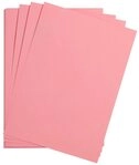 CLAIREFONTAINE Fotopapier Maya Bastelkarton 50x70cm 185g 25 Bogen - Hellrosa...