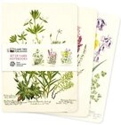 Notizbuch Dreier Set Mittelformat-Notizb&uuml;cher: Royal Botanic Garden Edinburgh