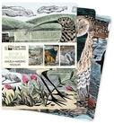 Notizbuch Dreier Set DIN-A5-Format-Notizb&uuml;cher: Angela Harding, Tierwelt
