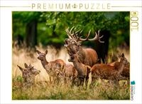 CALVENDO Puzzle CALVENDO Puzzle An image from the calendar *The Rutting Season...