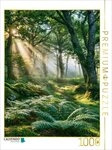 CALVENDO Puzzle CALVENDO Puzzle Heading into Summer, 1000 pieces, finished size...