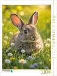 CALVENDO Puzzle CALVENDO Puzzle Hidden in the Grass, 1000 pieces, finished size...