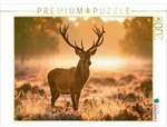 CALVENDO Puzzle CALVENDO Puzzle K&ouml;nig des goldenen Morgens, 2000 Teile...