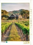 CALVENDO Puzzle CALVENDO Puzzle An image from the "Vines of Tuscany" calendar,...