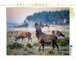 CALVENDO Puzzle CALVENDO Puzzle Wenn der Hirsch den Pfad kreuzt, wird der Wald