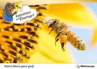Kamishibai mit Eberhart &ndash; Kleine Biene ganz gro&szlig; &ndash; Set / Nicole Brandau,