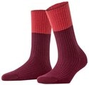 FALKE Funktionssocken FALKE Cosy Wool Special Edition Damen (1-Paar)