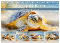 CALVENDO Wandkalender Meeresschildkr&ouml;ten. Reise durch die Ozeane...