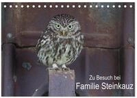 CALVENDO Wandkalender Zu Besuch bei Familie Steinkauz (Tischkalender 2027 DIN A5
