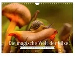 CALVENDO Wandkalender Die magische Welt der Pilze (Wandkalender 2027 DIN A4 quer),