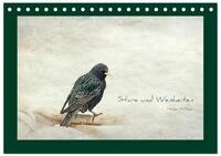 CALVENDO Wandkalender Stare und Weisheiten (Tischkalender 2027 DIN A5 quer),...