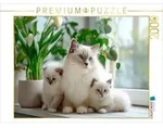 CALVENDO Puzzle CALVENDO Puzzle Heilige Birma Kitten - Mamas kleine Lieblinge,...